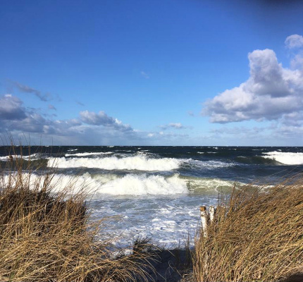 Kalifornien Dünen und Strand